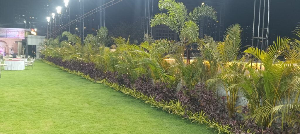 whatsapp image 2026 01 11 at 10.35.16